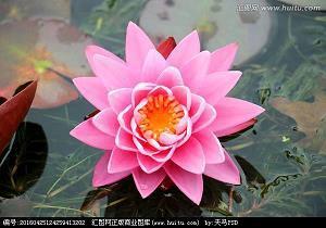 辌