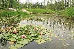 2020中秋节给客户的祝福语