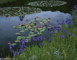 霜降文案简短一句话 霜降祝福语简短(精选41条)