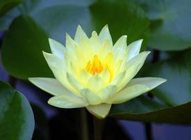 适合各种心情的句子 心情美美哒的简短句子汇总79句