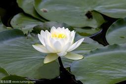 教师节微信感恩祝福语