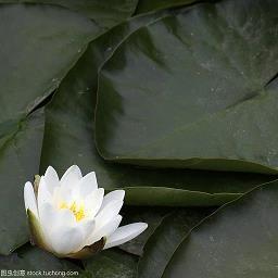 清源正本