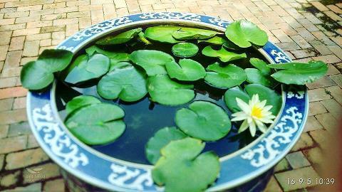 立冬时节问候语祝福短信简短(精选63条)