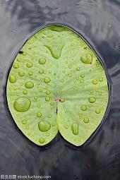 香消玉殒