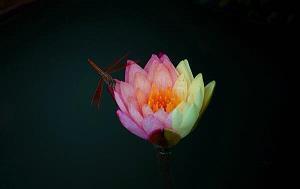 教师节贺卡词大全简短优美2021年(精选78条)