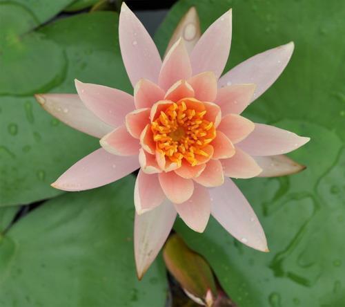 教师节贺卡上的祝福语2021年(精选58条)