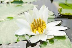 生日快乐的句子 简单的生日祝福语推荐36句