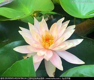 送给同学的贺卡祝福语 送同学简短贺卡祝福语(精选51条)