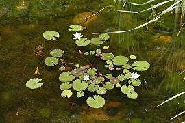 父亲节朋友圈文案可爱大全推荐59句