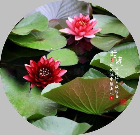 钤干