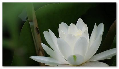 经年累月