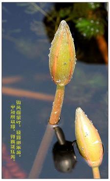 闗