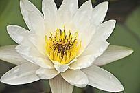 2021辛丑年建党100年祝福语(精选91条)