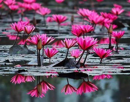 醴泉