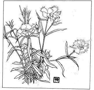 关于生活的名言1