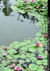 沉