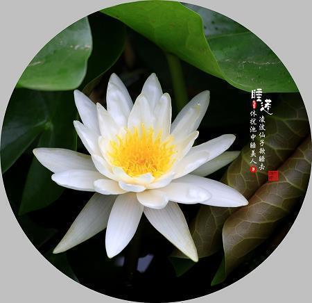 穲