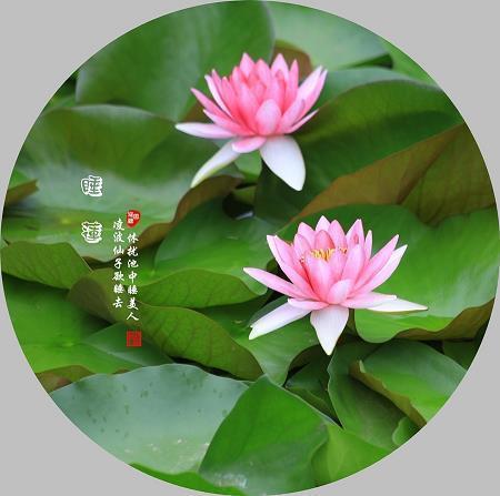 词综