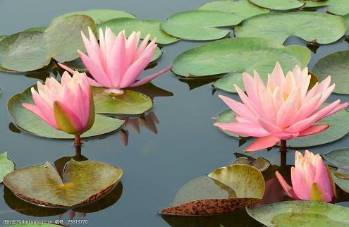 从此不谈感情不深情不痴情 最新心情说说大全