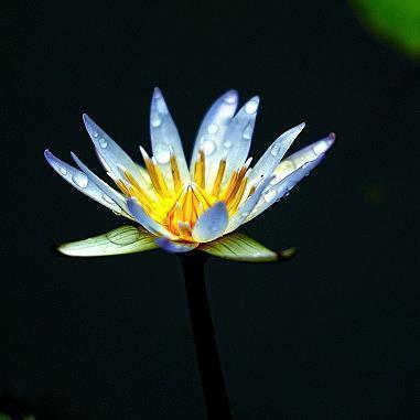暖心的建党100周年祝福寄语