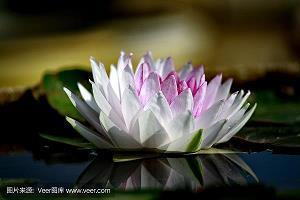 家至户到