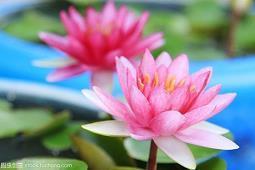 早睡早起发朋友圈的句子 关于早睡早起的说说(精选49句)