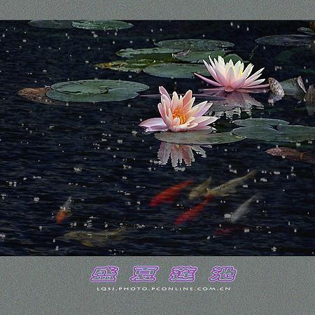 最新清明节祝福文案简短优美句子