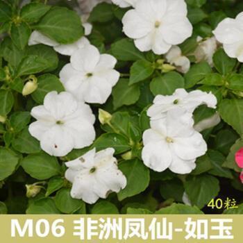 说天气热的搞笑说说38句