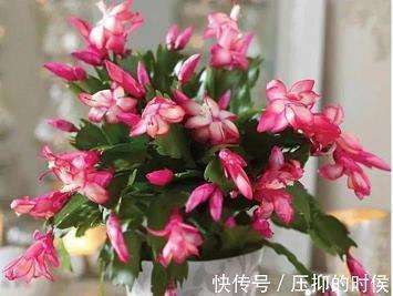 老公在情人节发红包发朋友圈的句子