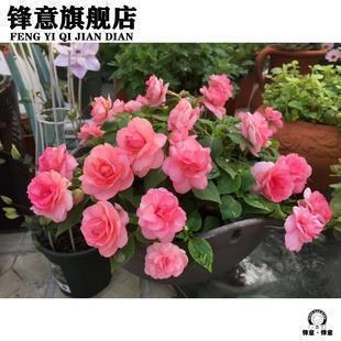 铸币