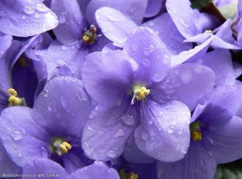 2021感恩教师节朋友圈文案(精选65条)