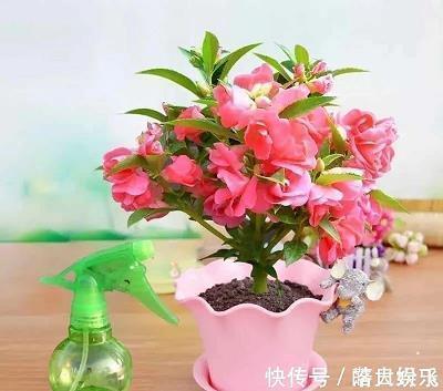 睆
