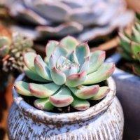 qq伤感说说带图片
