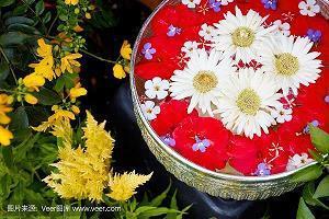 12月再见1月你好说说 告别迎接说说(精选26句)