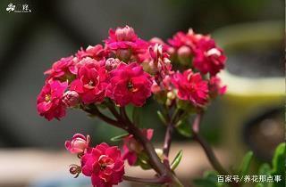 教师节2021朋友圈高赞祝福语文案合集73句