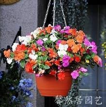 跁