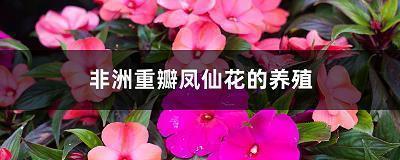 聊复尔尔