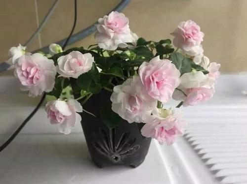 考试祝福语和鼓励的话给同学(精选65条)
