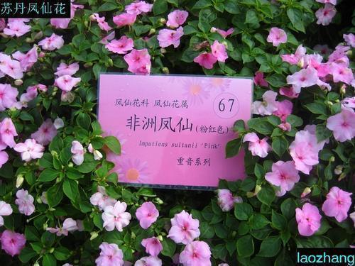 戮