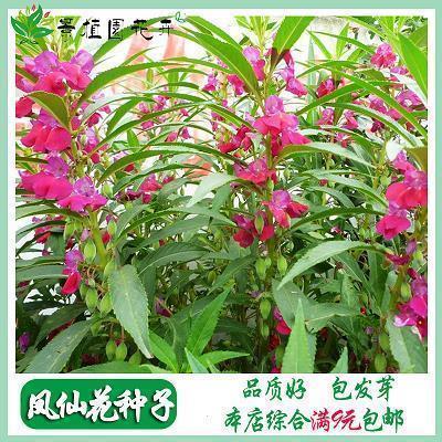 天下匈匈