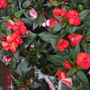 给老师教师节贺卡祝福语