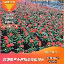忧公无私