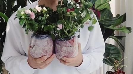 元宵节的唯美句子19句