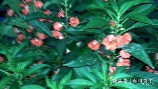 高考失眠的说说 高考前夜睡不着说说23句