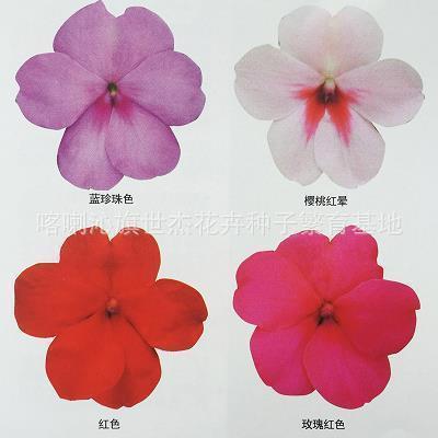 振聋启聩