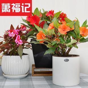落阱下石