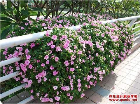 2021正月十五元宵节说说最新