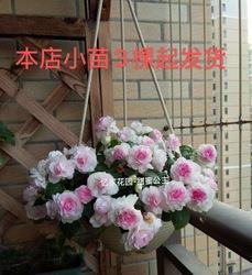 一句话走心的情感句子27句