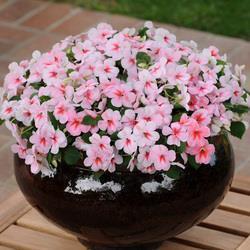教师节感恩老师贺卡祝福语