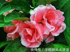 关于毕业最伤感的句子说说58句